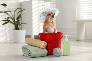 Photo of Cute funny dog with shower cap and different accessories for bathing at home