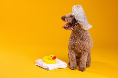 Photo of Cute dog with shower cap, towel and bath ducks on orange background, space for text