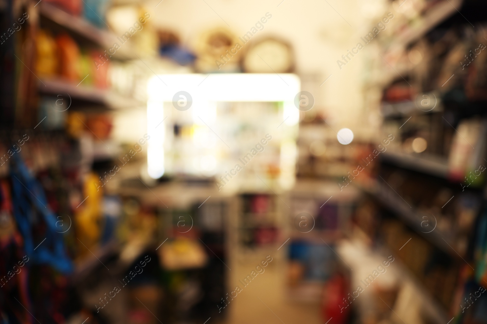 Photo of Blurred view of shelves with different products in pet shop