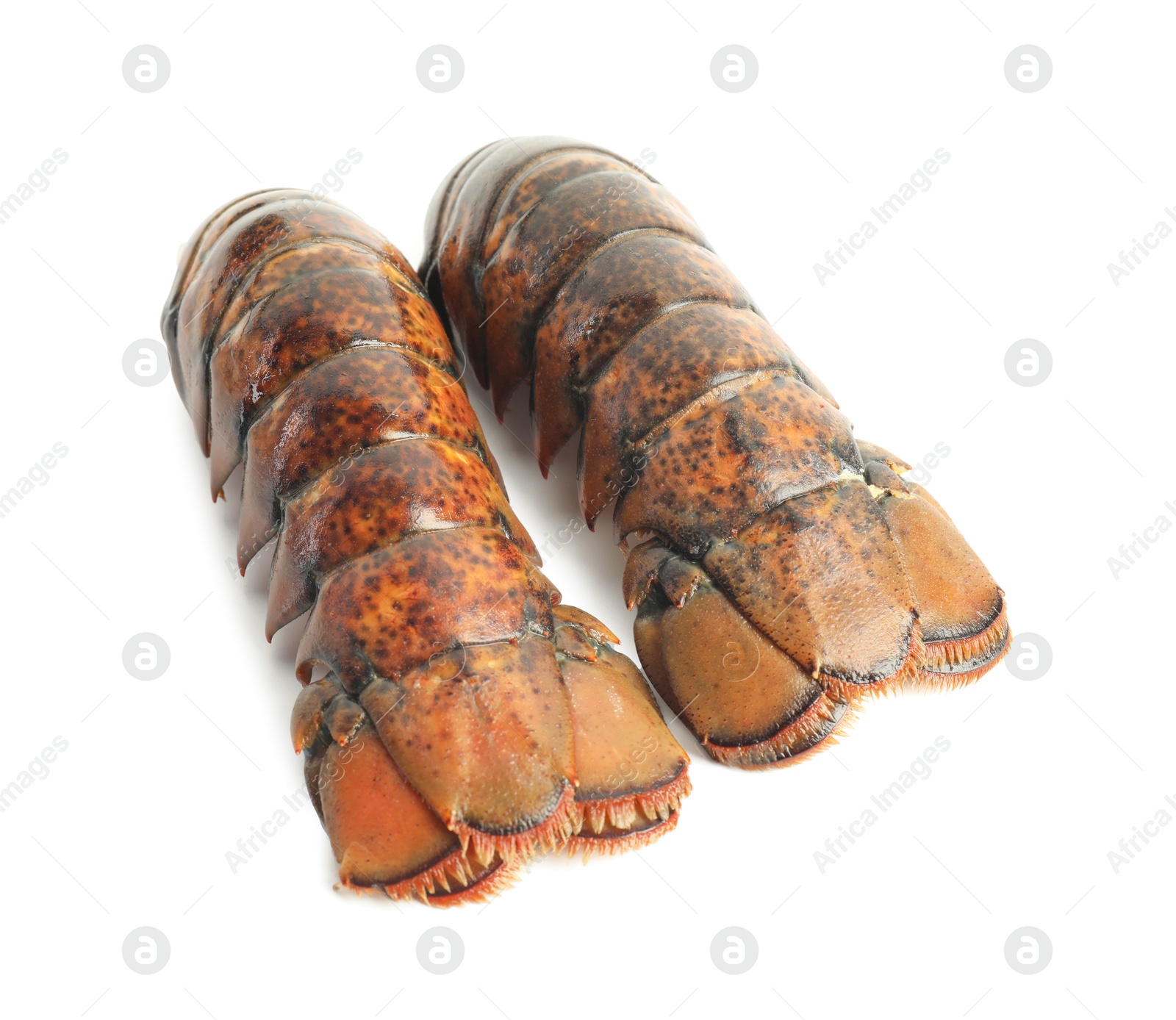 Photo of Two raw lobster tails isolated on white