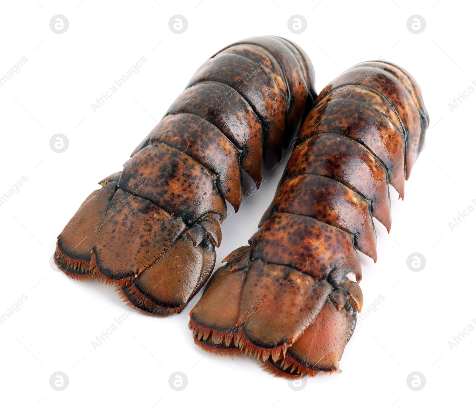 Photo of Two raw lobster tails isolated on white