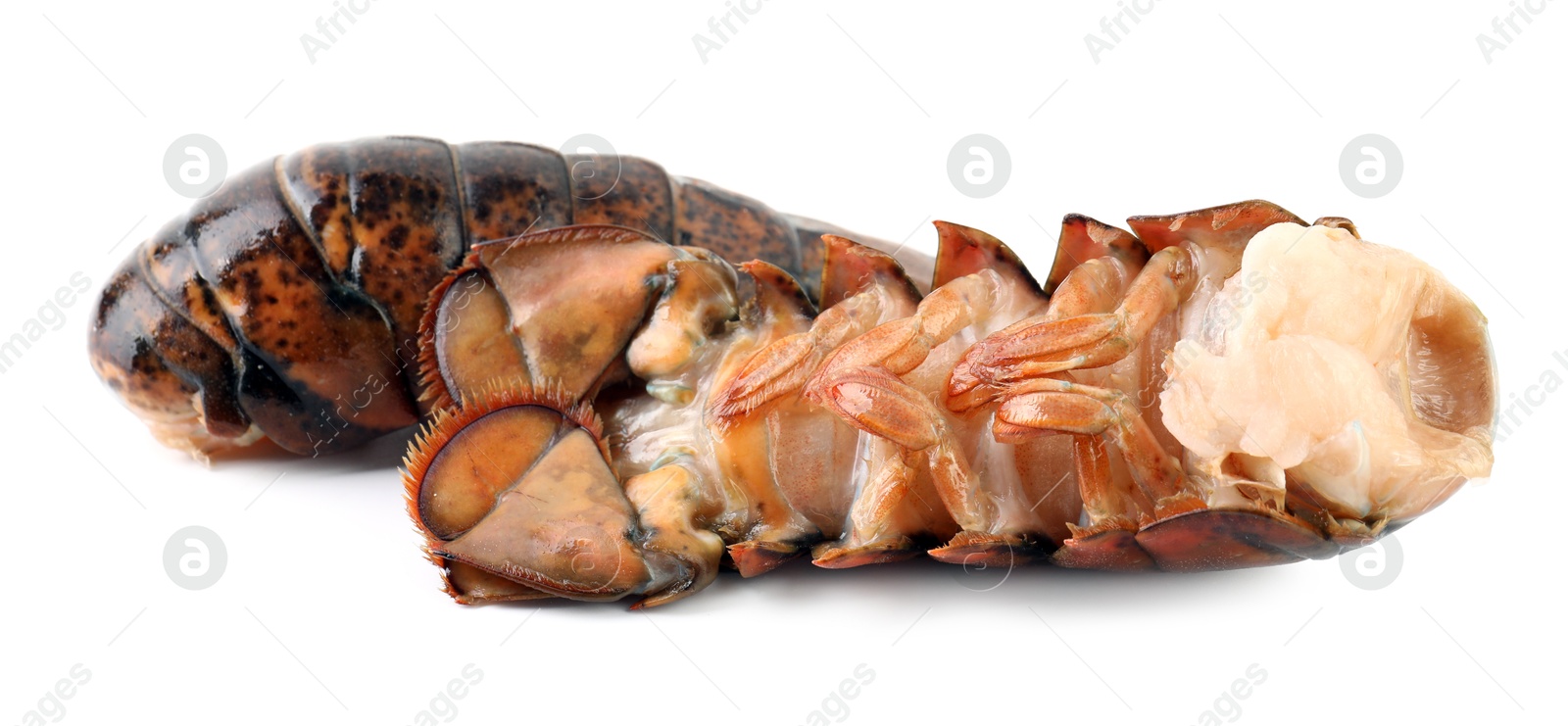 Photo of Two raw lobster tails isolated on white