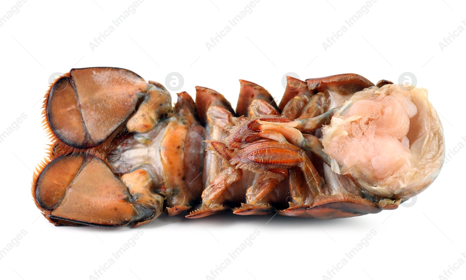 Photo of One raw lobster tail isolated on white