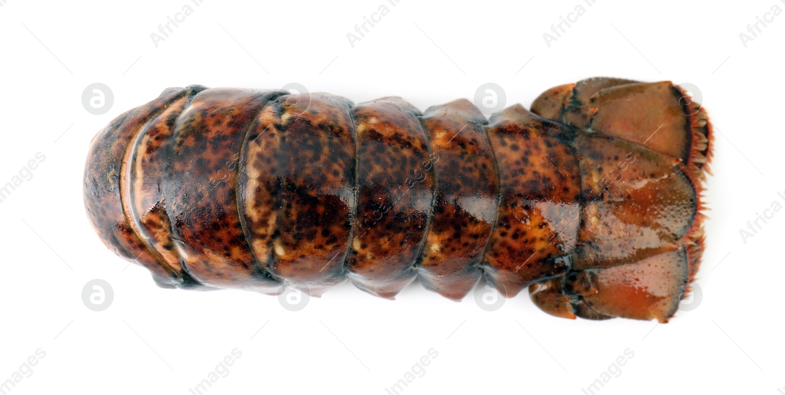 Photo of One raw lobster tail isolated on white, top view