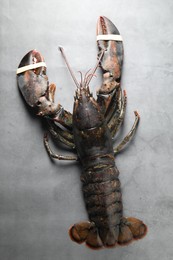 Photo of One raw lobster on grey textured table, top view