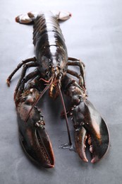 Photo of One raw lobster on grey textured table, closeup