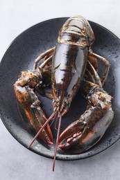 One raw lobster on grey table, top view