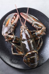 Photo of One raw lobster on grey table, top view