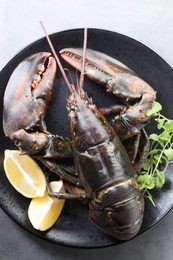 Photo of Raw lobster, pieces of lemon and microgreens on grey table, top view