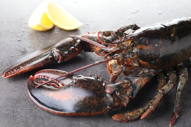 Photo of Raw lobster on grey textured table with water drops, closeup