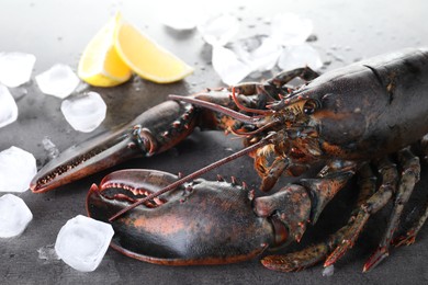 Raw lobster, ice cubes and slices of lemon on grey textured table, closeup