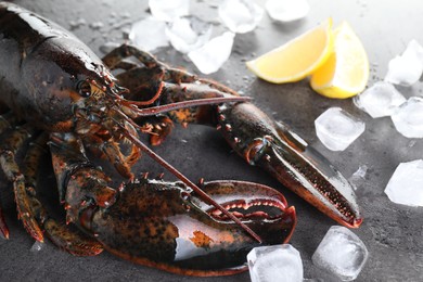 Raw lobster, ice cubes and slices of lemon on grey textured table, closeup