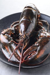 Photo of One raw lobster on grey textured table, closeup