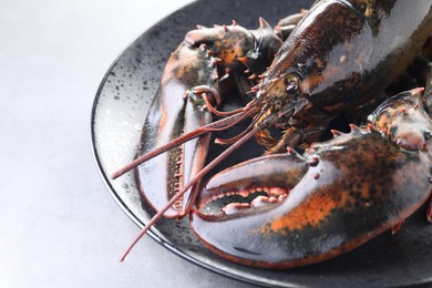 Photo of One raw lobster on grey textured table, closeup