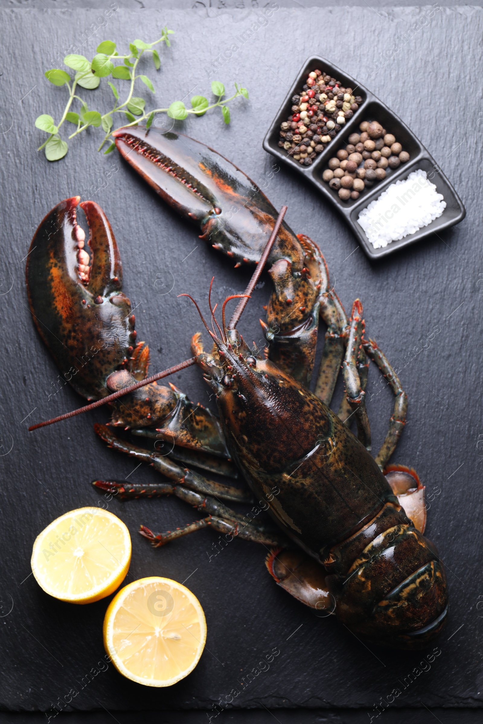 Photo of Raw lobster, cut lemon, microgreens and spices on dark textured table, flat lay