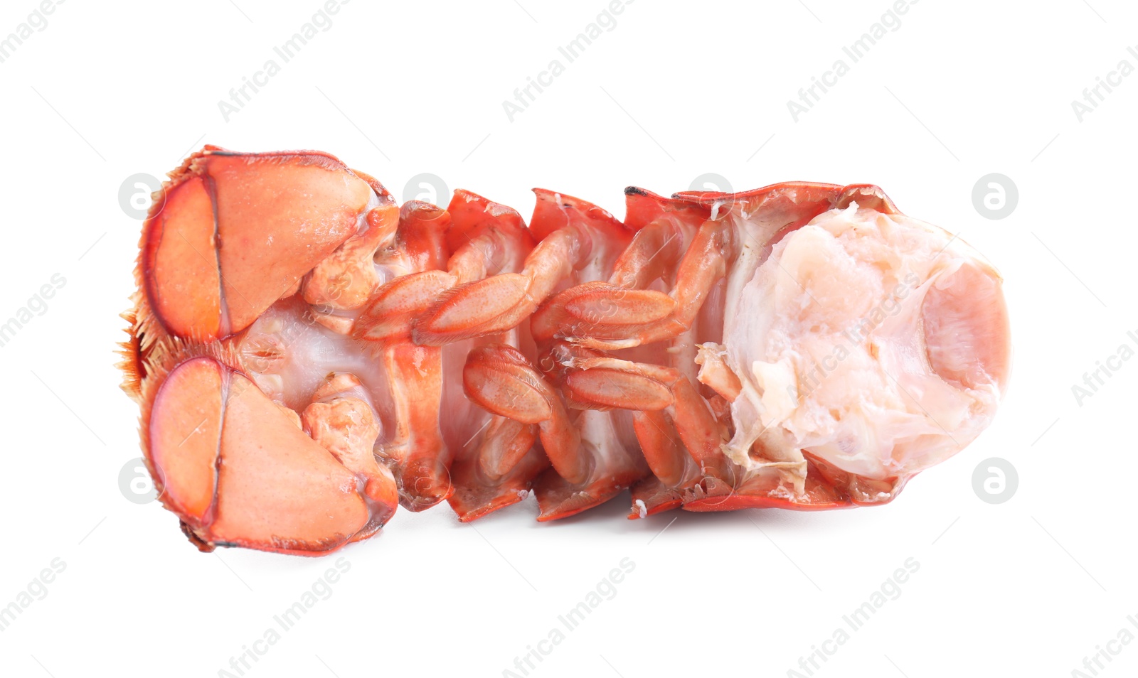 Photo of Tail of boiled lobster isolated on white