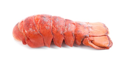 Photo of Tail of boiled lobster isolated on white