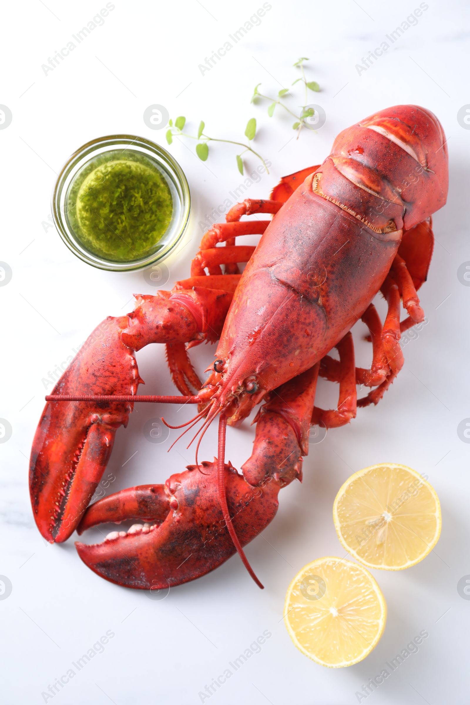 Photo of Delicious boiled lobster with oil, microgreens and lemon pieces on white table, flat lay