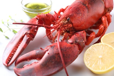 Photo of Delicious boiled lobster with oil, microgreens and lemon pieces on white table, closeup