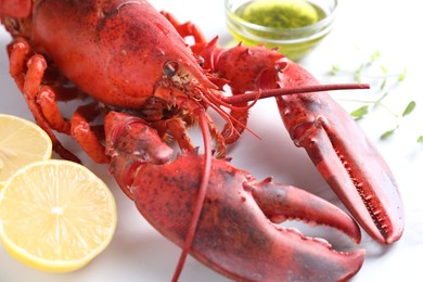 Photo of Delicious boiled lobster with oil, microgreens and lemon pieces on white table, closeup