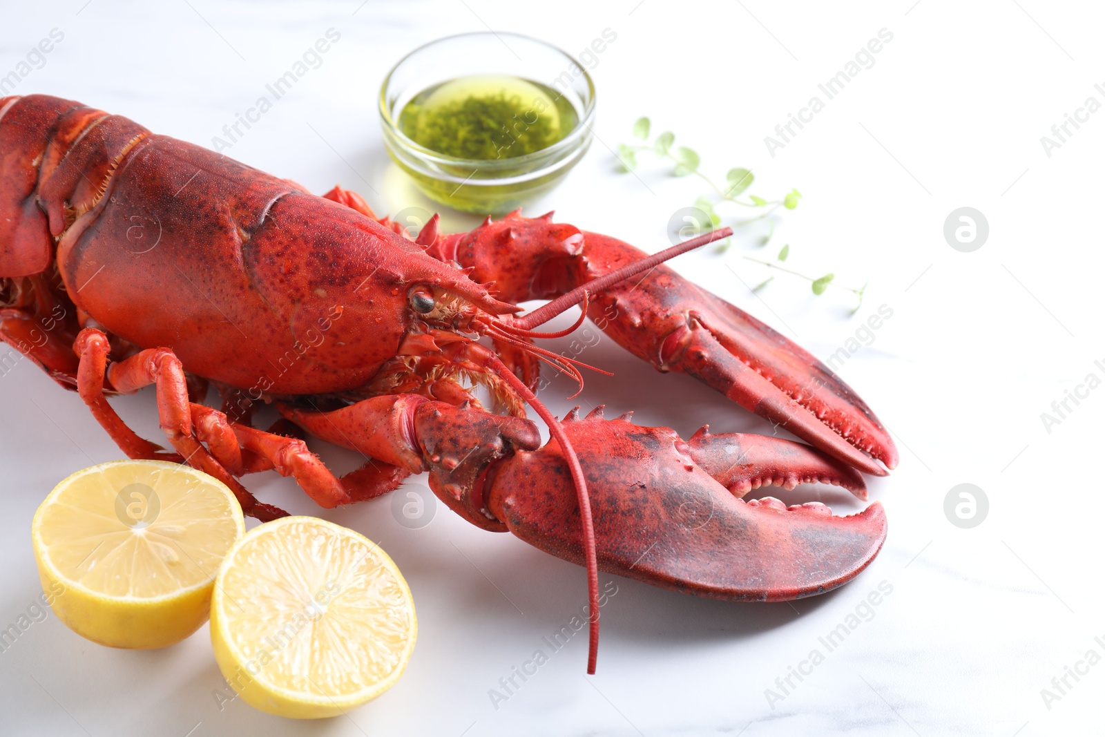 Photo of Delicious boiled lobster with oil, microgreens and lemon pieces on white table, closeup