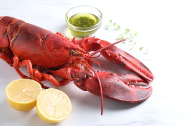 Photo of Delicious boiled lobster with oil, microgreens and lemon pieces on white table, closeup