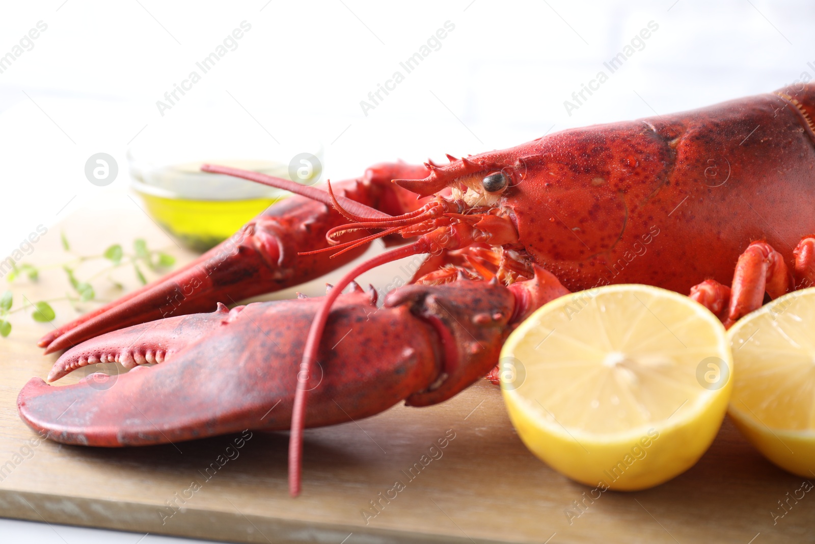 Photo of Delicious boiled lobster with oil, microgreens and lemon pieces on white table, closeup