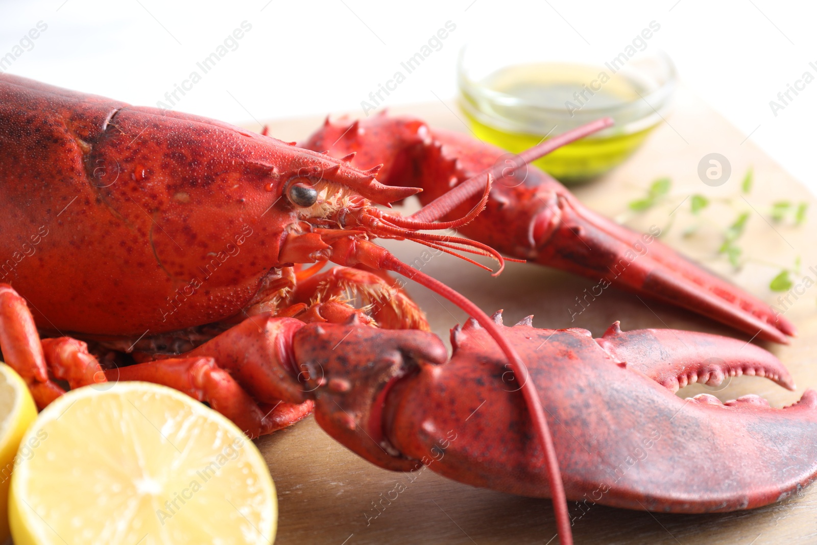 Photo of Delicious boiled lobster with oil, microgreens and lemon pieces on white table, closeup