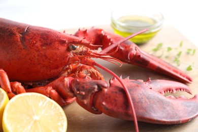 Delicious boiled lobster with oil, microgreens and lemon pieces on white table, closeup