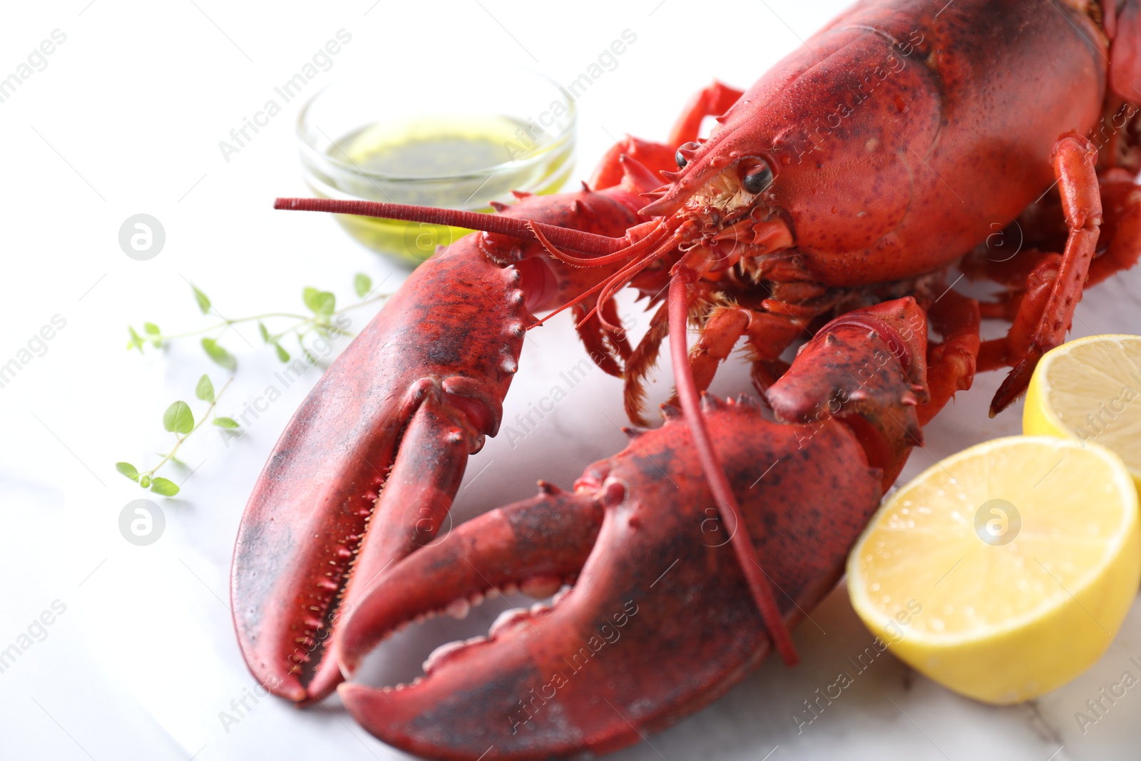 Photo of Delicious boiled lobster with oil, microgreens and lemon pieces on white table, closeup