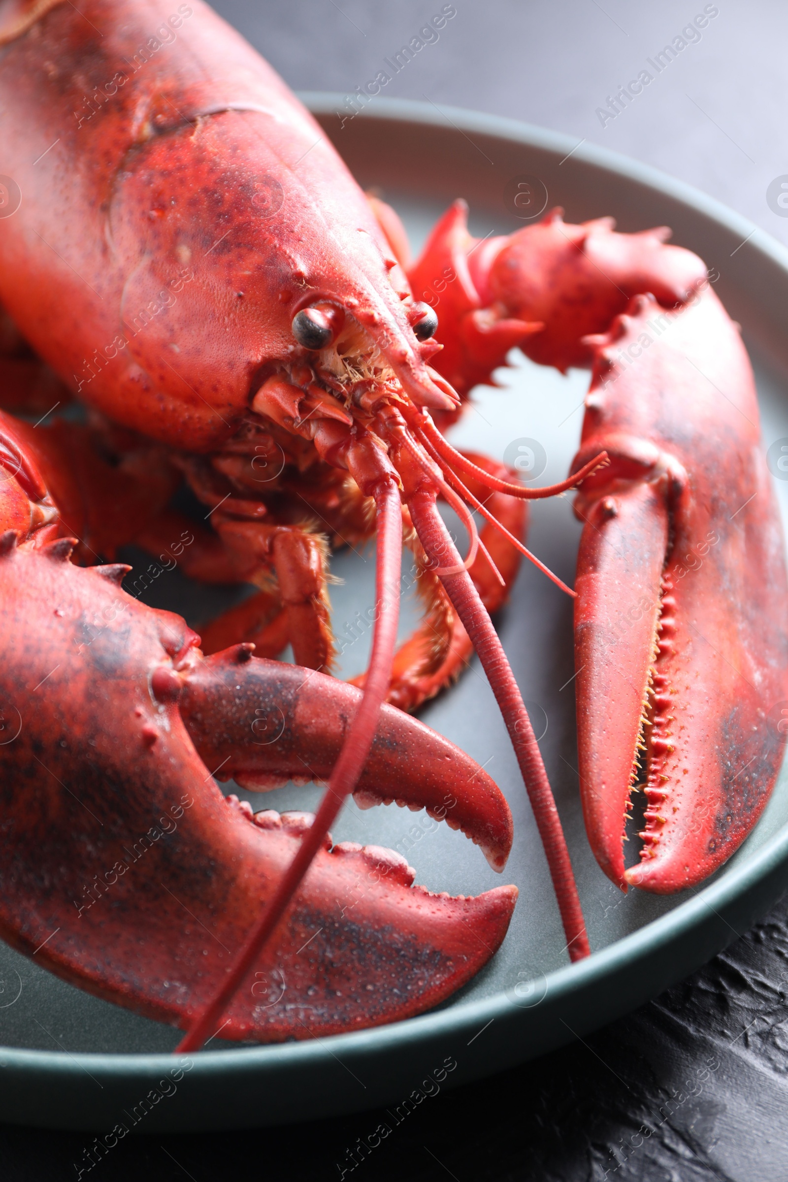 Photo of Delicious boiled lobster on black table, closeup