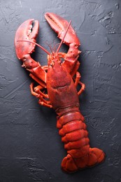 Photo of Delicious boiled lobster on black table, top view