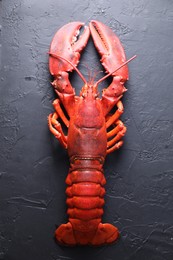 Photo of Delicious boiled lobster on black table, top view