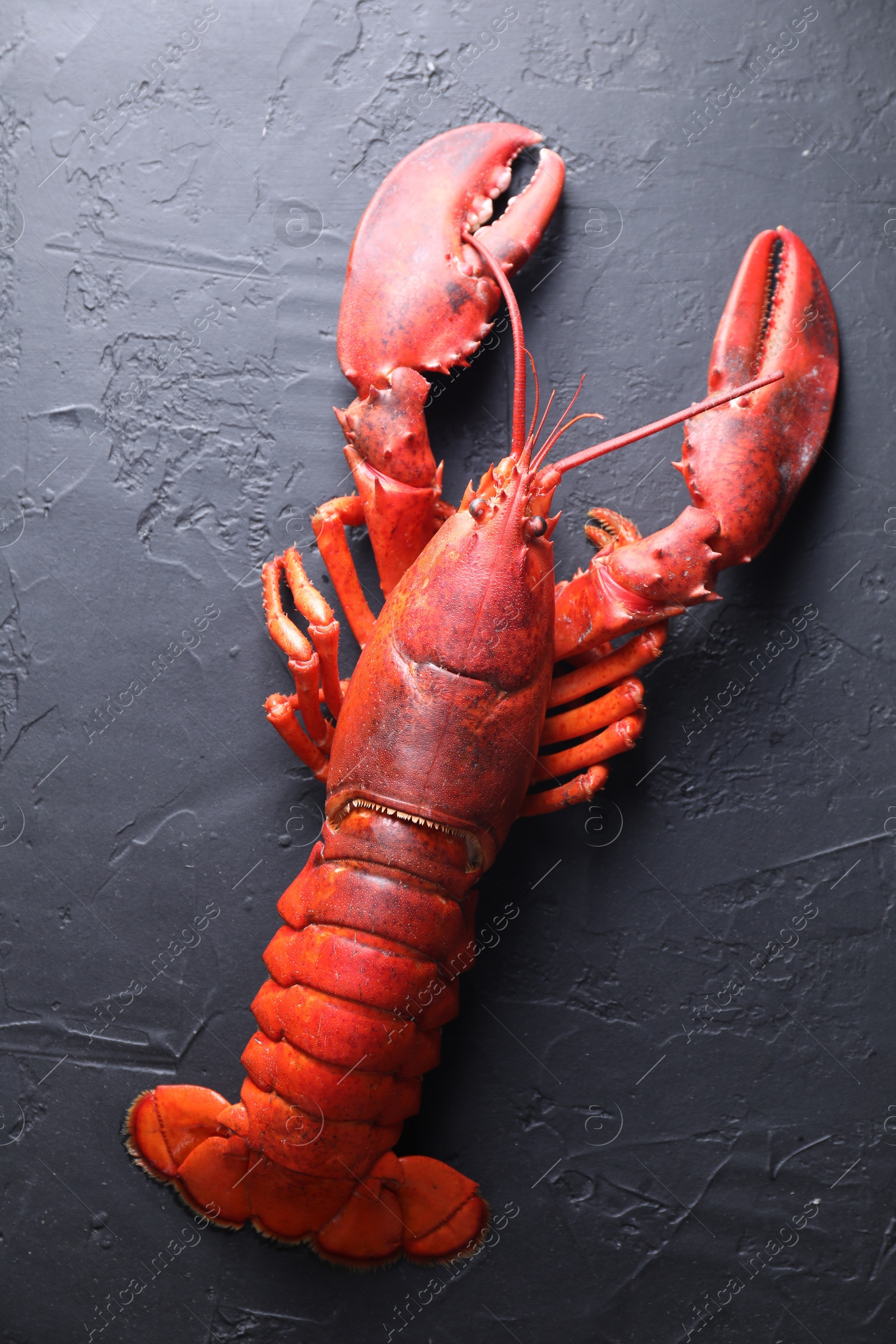 Photo of Delicious boiled lobster on black table, top view