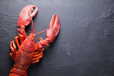 Photo of Delicious boiled lobster on black table, top view. Space for text