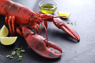 Photo of Delicious boiled lobster with lime pieces, oil and microgreens on black table, closeup