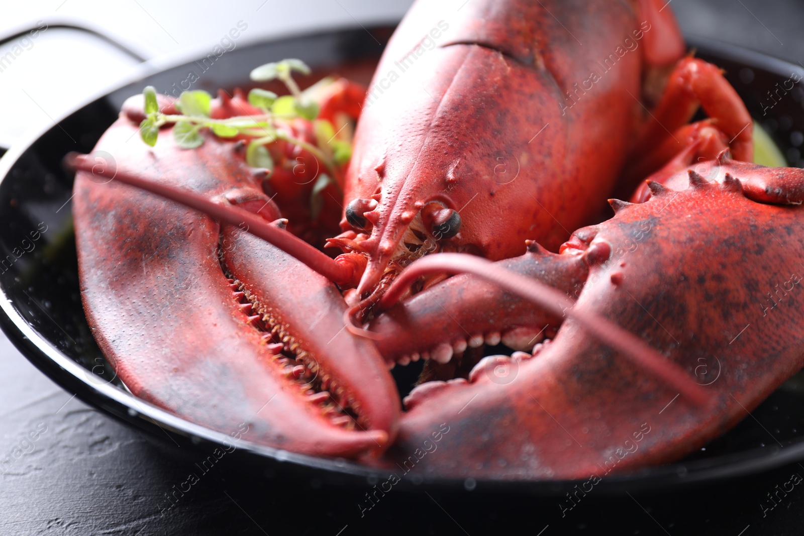 Photo of Delicious boiled lobster with microgreens on black table, closeup