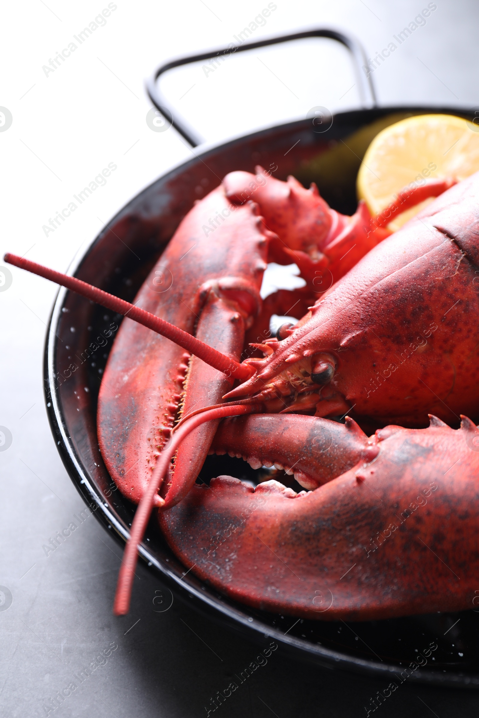 Photo of Delicious boiled lobster with lemon pieces on grey table, closeup