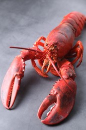 Photo of Delicious boiled lobster on grey table, closeup