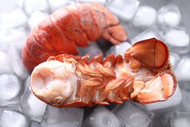 Photo of Tails of boiled lobsters with ice cubes on grey table, closeup