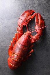 Photo of Delicious boiled lobster on grey table, top view