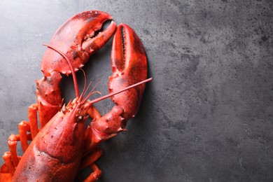 Photo of Delicious boiled lobster on grey table, top view. Space for text