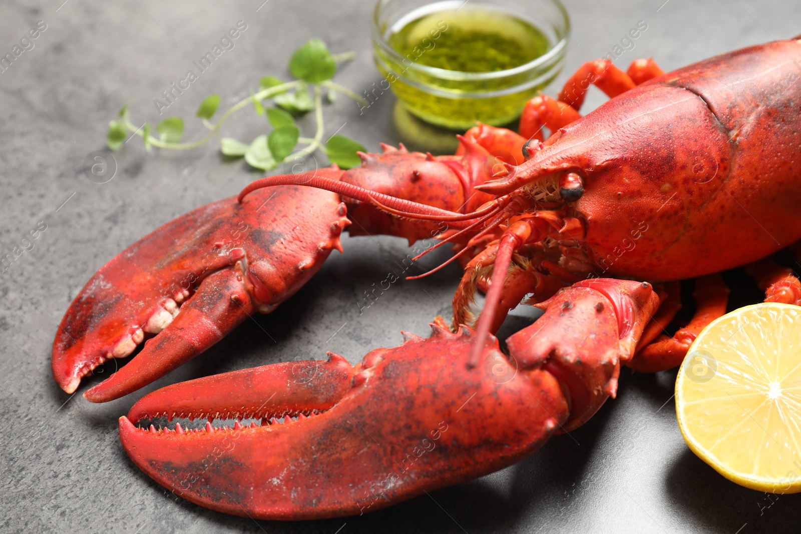 Photo of Delicious boiled lobster with oil, microgreens and lemon piece on grey table, closeup