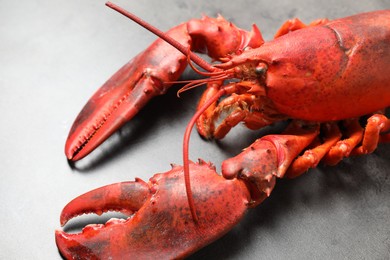 Photo of Delicious boiled lobster on grey table, closeup