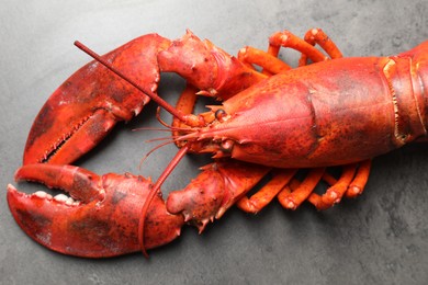 Photo of Delicious boiled lobster on grey table, closeup