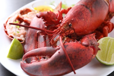 Photo of Delicious boiled lobster served on grey table, closeup