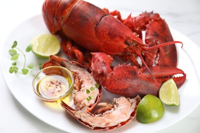 Delicious boiled lobster served on white table, closeup