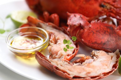 Photo of Delicious boiled lobster served on white table, closeup