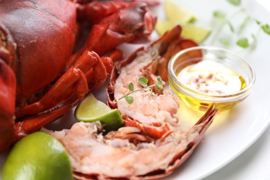 Photo of Delicious boiled lobster served on white table, closeup