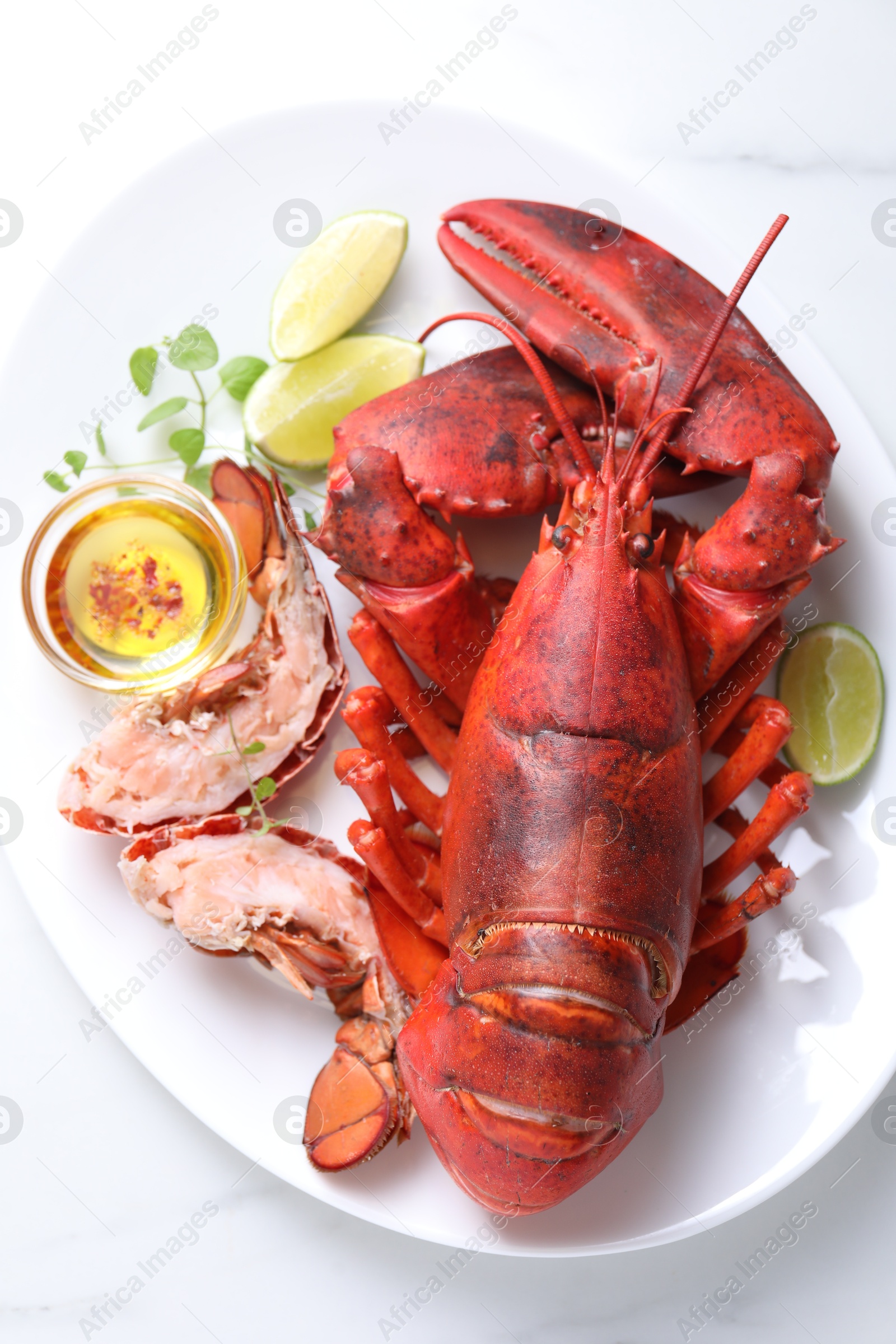 Photo of Delicious boiled lobster served on white table, top view